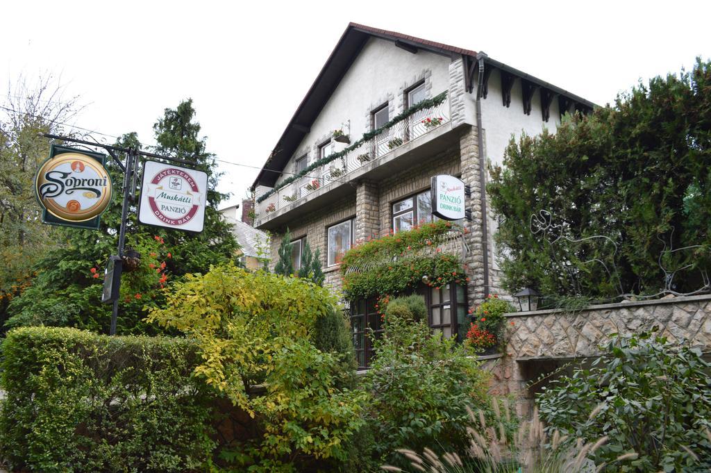 Bed and Breakfast Muskatli Panzio Győr Exterior foto