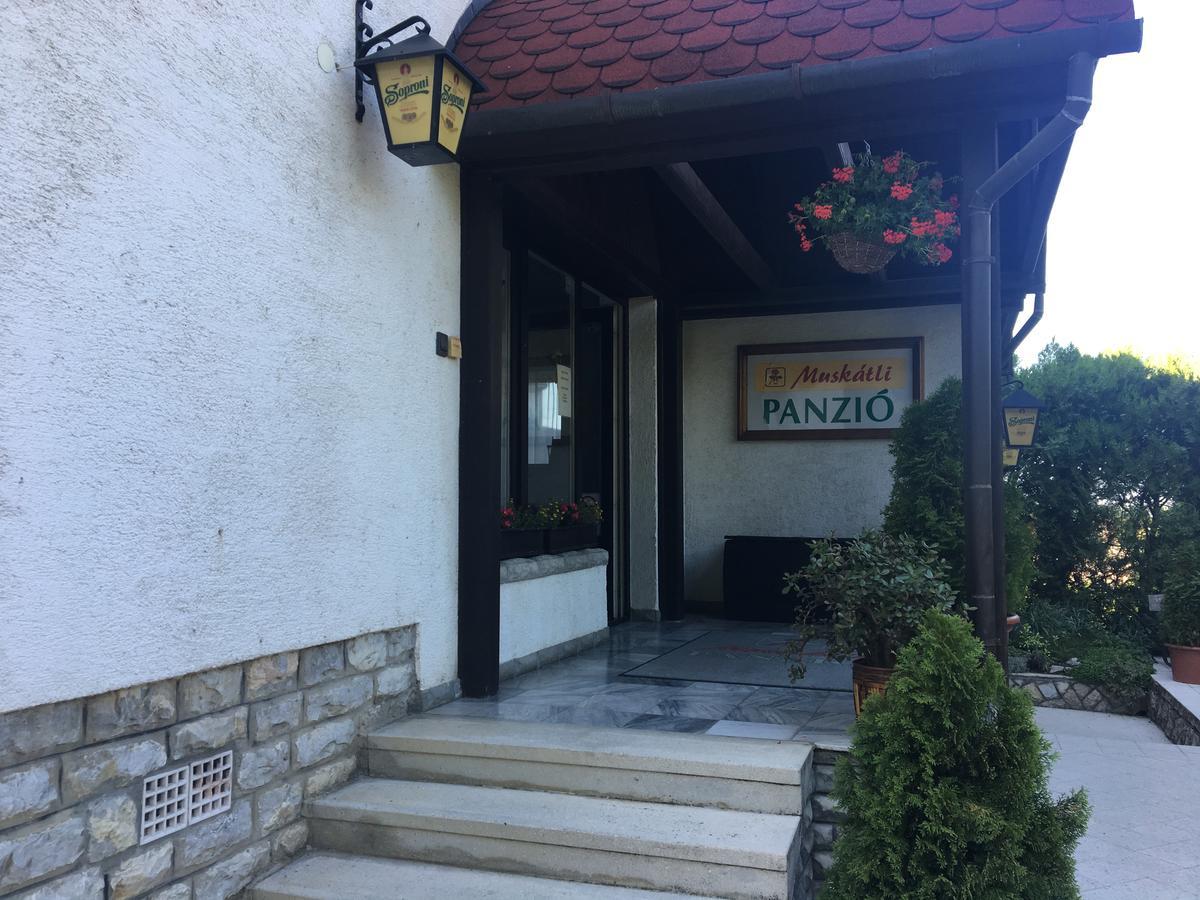 Bed and Breakfast Muskatli Panzio Győr Exterior foto